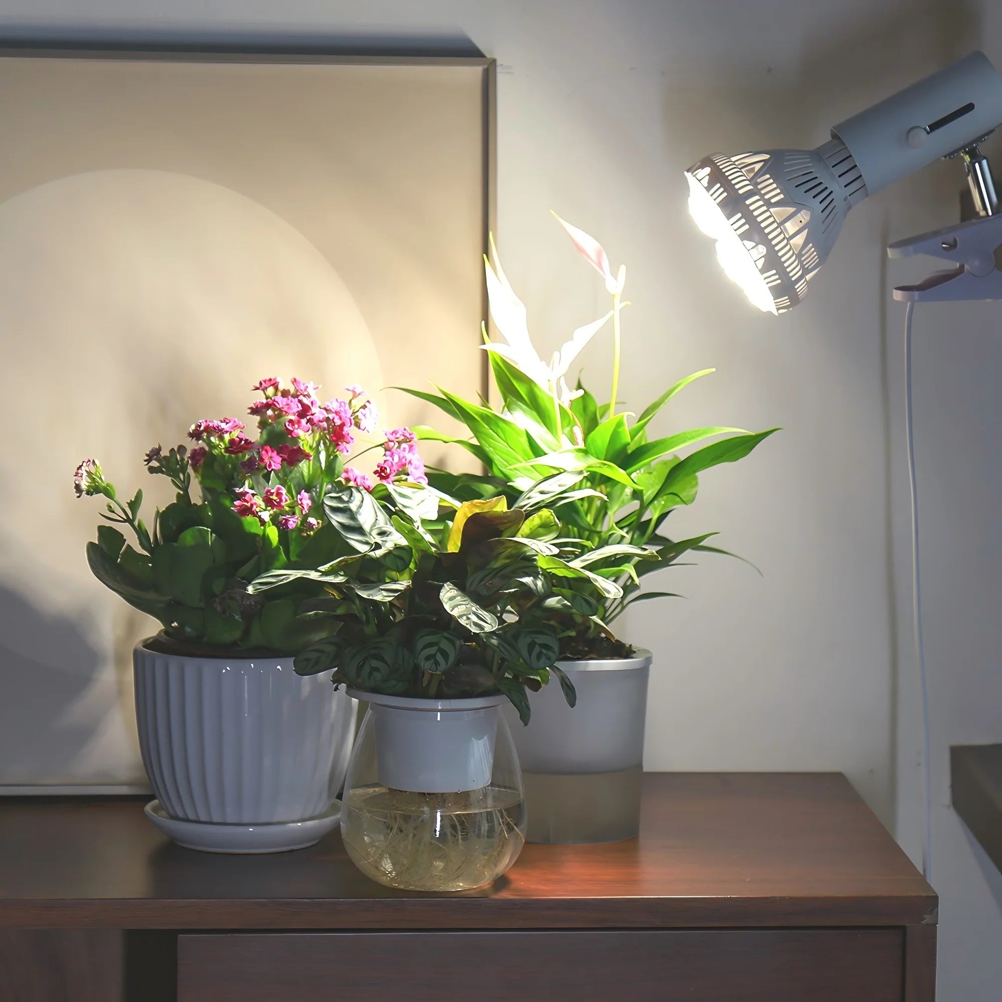 Lampadina LED per Coltivazione SANSI BR30 (36W - Spettro Completo 4000K) 💡🌱✨