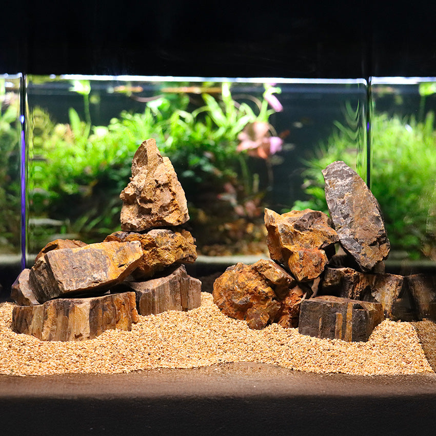 Roccia Petrified - Legno Fossile Naturale per Aquascaping e Terrarium