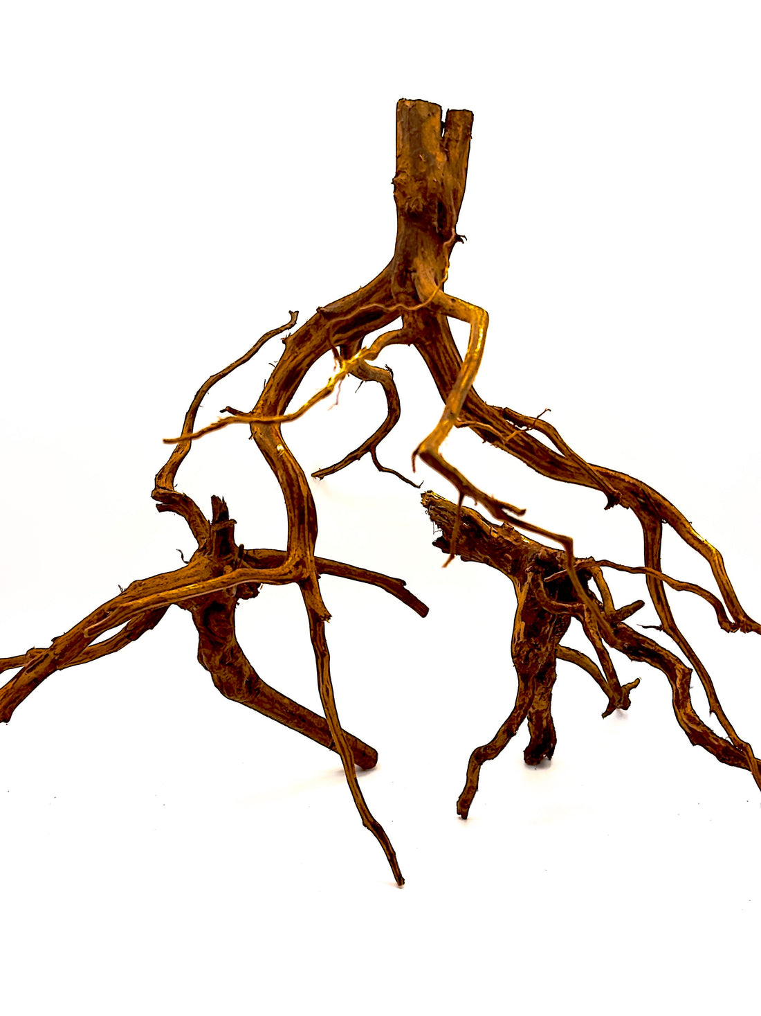 Legno Red Spider King naturale con ramificazioni sottili e dinamiche, perfetto per creare scenari boschivi e strutture verticali in terrarium e acquari.