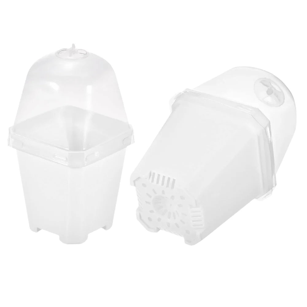 Mini Serra Vaso Trasparente con Cupola per Baby Plant e Talee 🌿🧪