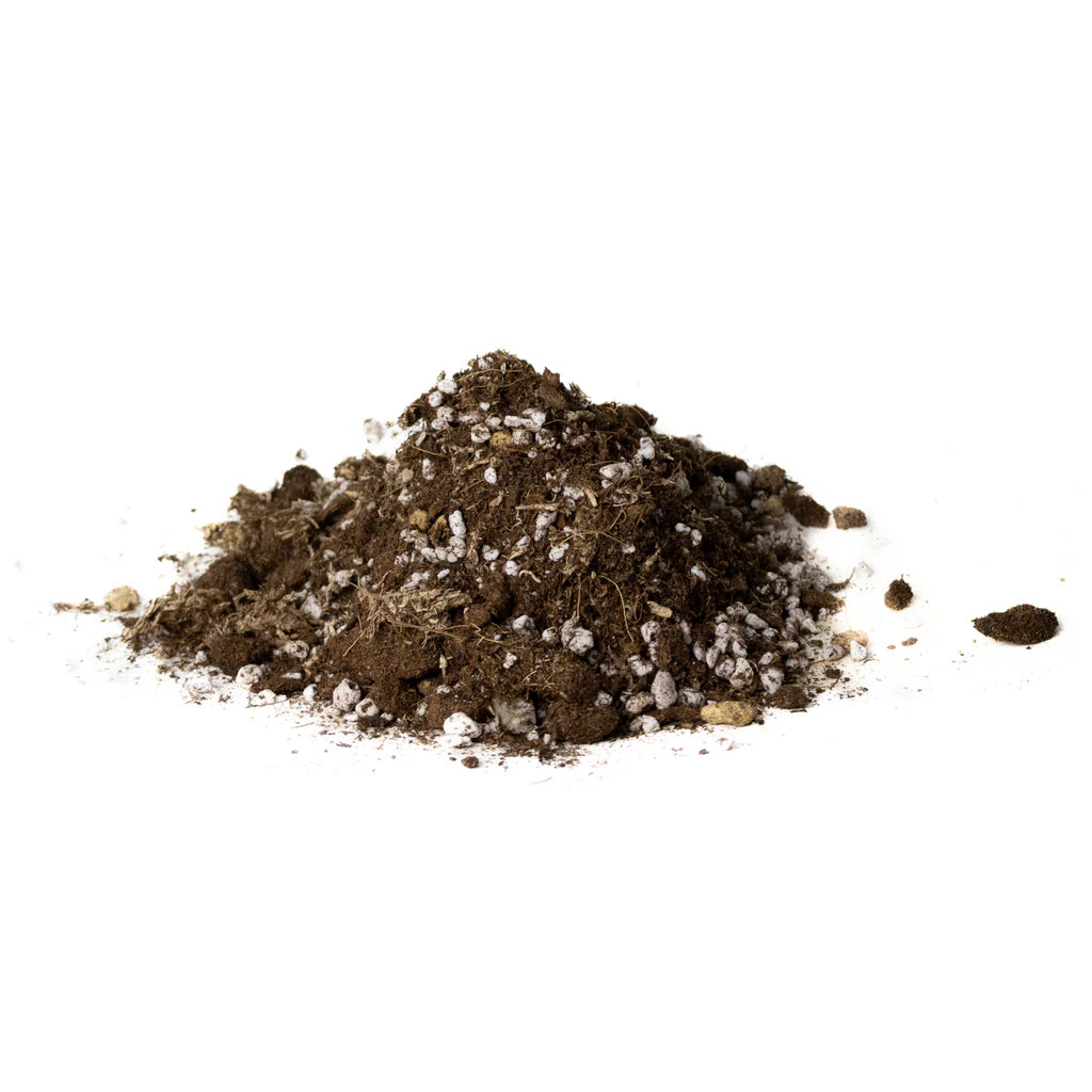 Terriccio Specifico per Piante Carnivore - Formula ad Alta Acidità pH 3.9 (2LT - 6LT) 🌿