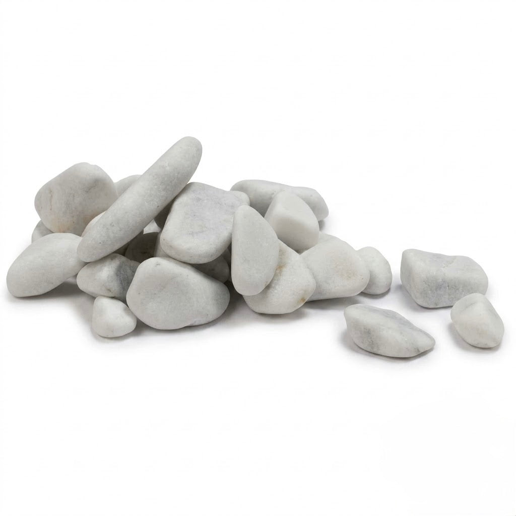 Ciottoli bianchi naturali Amtra da 2-4 cm per la decorazione del fondo di acquari d&