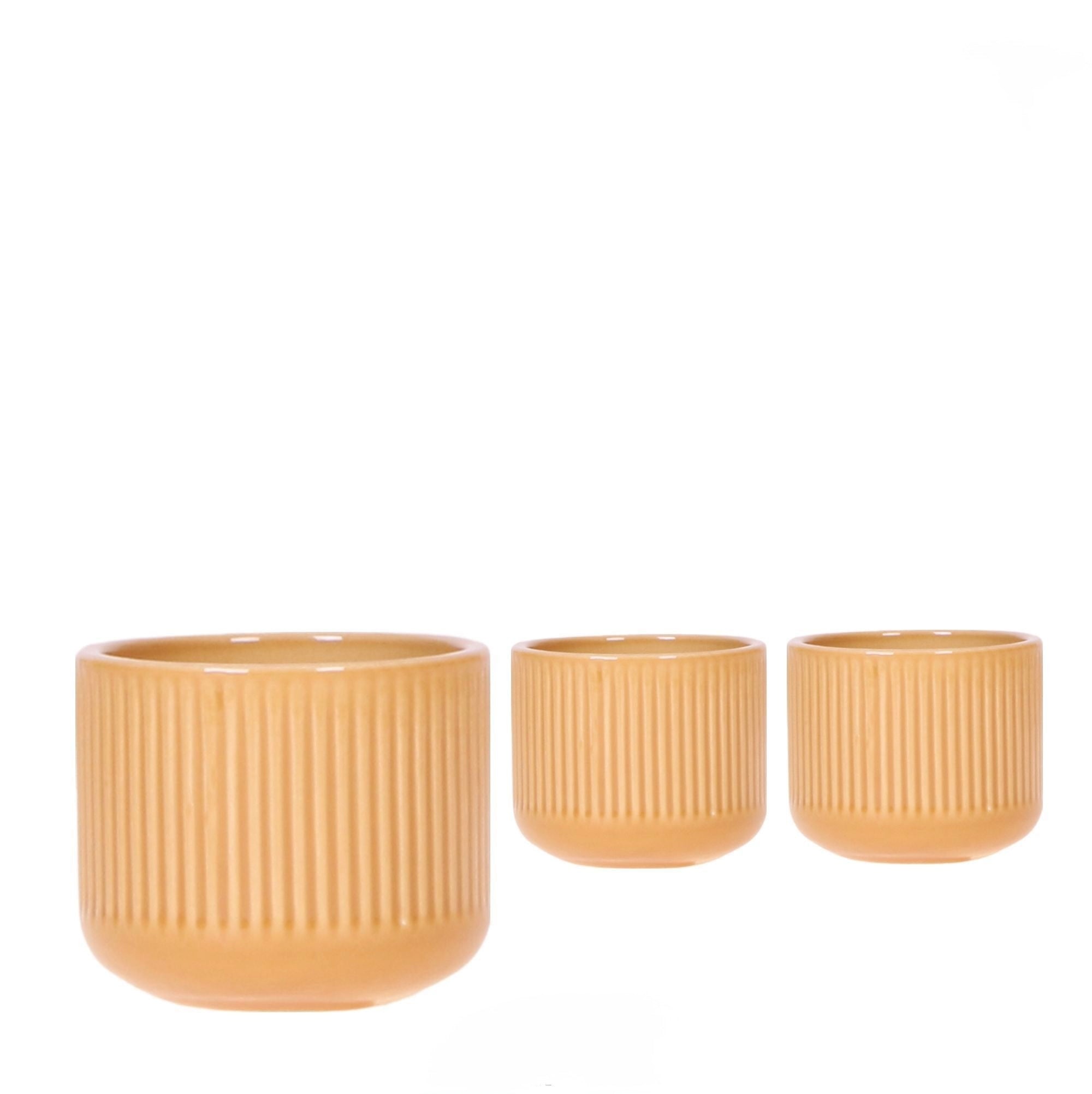 Coprivaso di design in ceramica giallo senape con lavorazione scanalata verticalmente da 6 cm per baby plant e mini succulente.