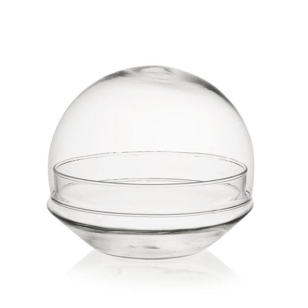 Vaso in Vetro Globe Medium per Terrarium