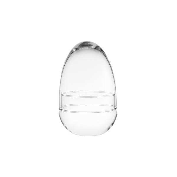Vaso Terrarium Uovo Medium in Vetro Trasparente per Piante Tropicali