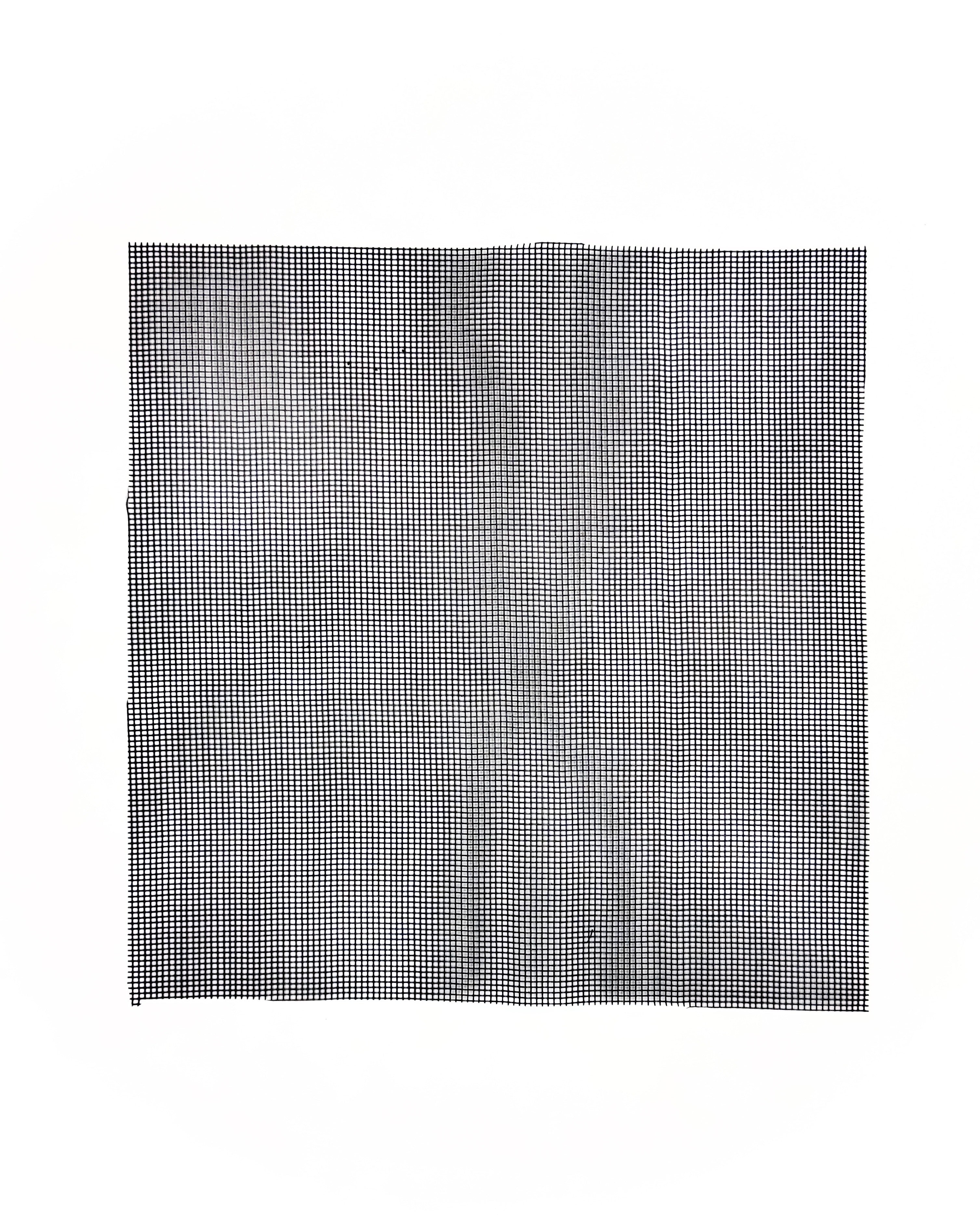Rete divisoria a maglia stretta 25x25cm Dreaming Plants per separare lo strato di drenaggio dal terriccio, essenziale per la longevità di un terrarium chiuso.