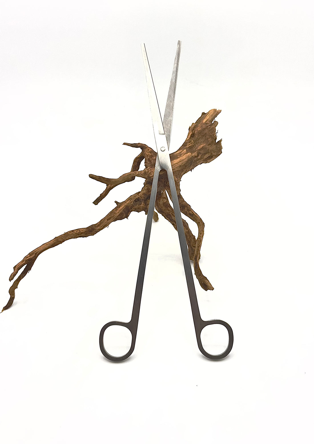 Forbici per Terrarium 25cm