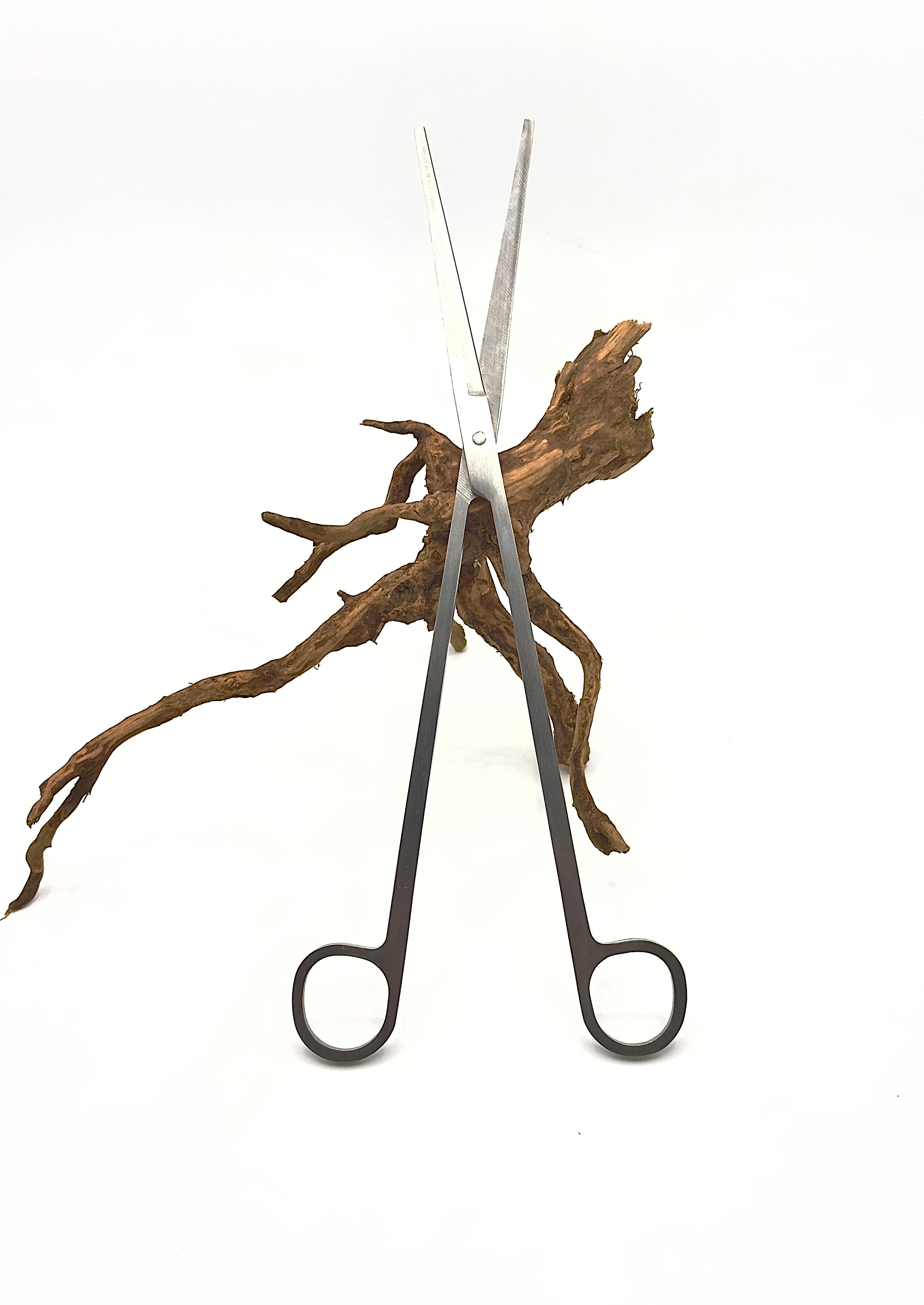 Forbici per Terrarium 25cm