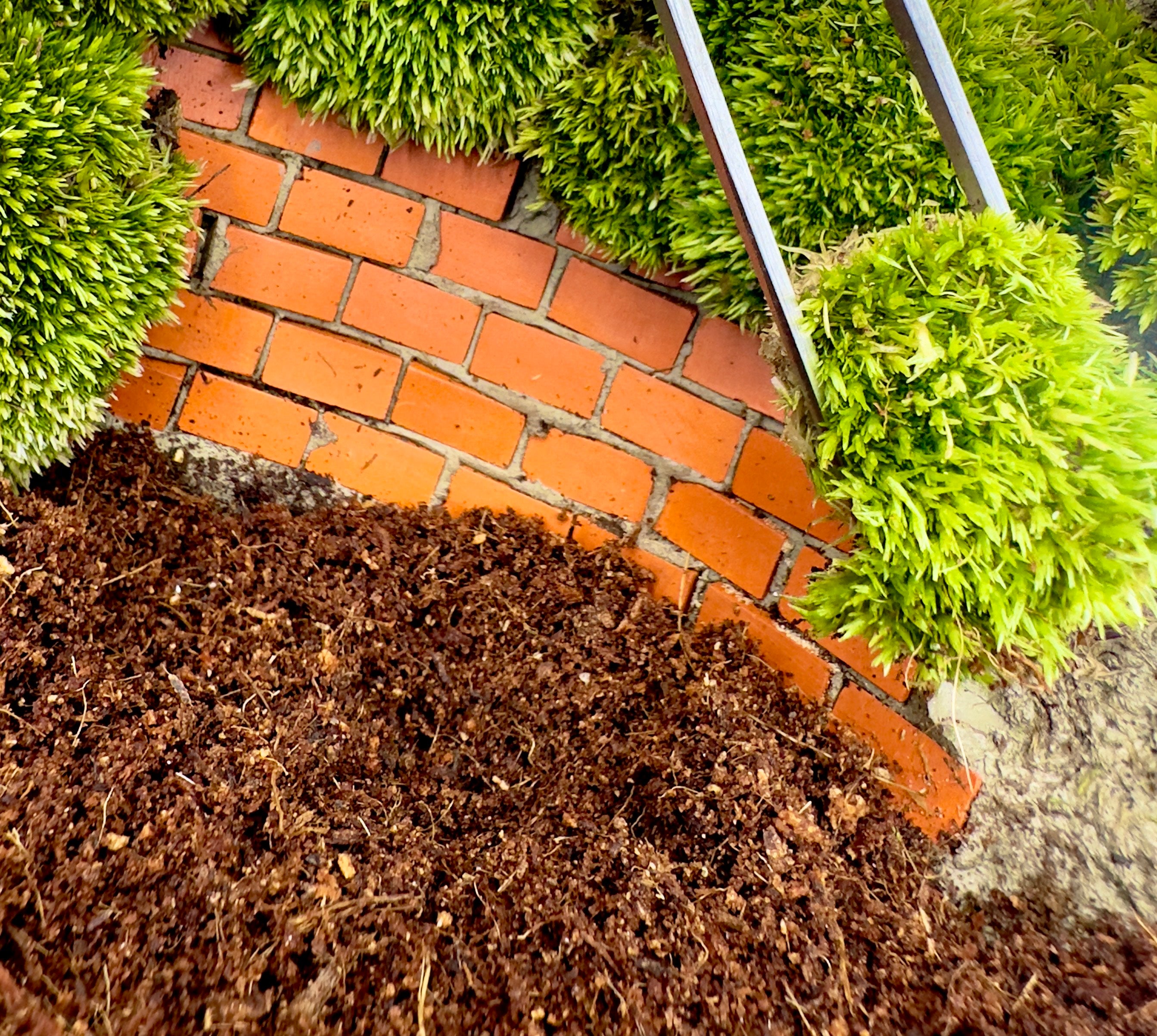 TerraGlue – Composto Naturale Adesivo per Terrarium Verticali, Piante e Hardscape