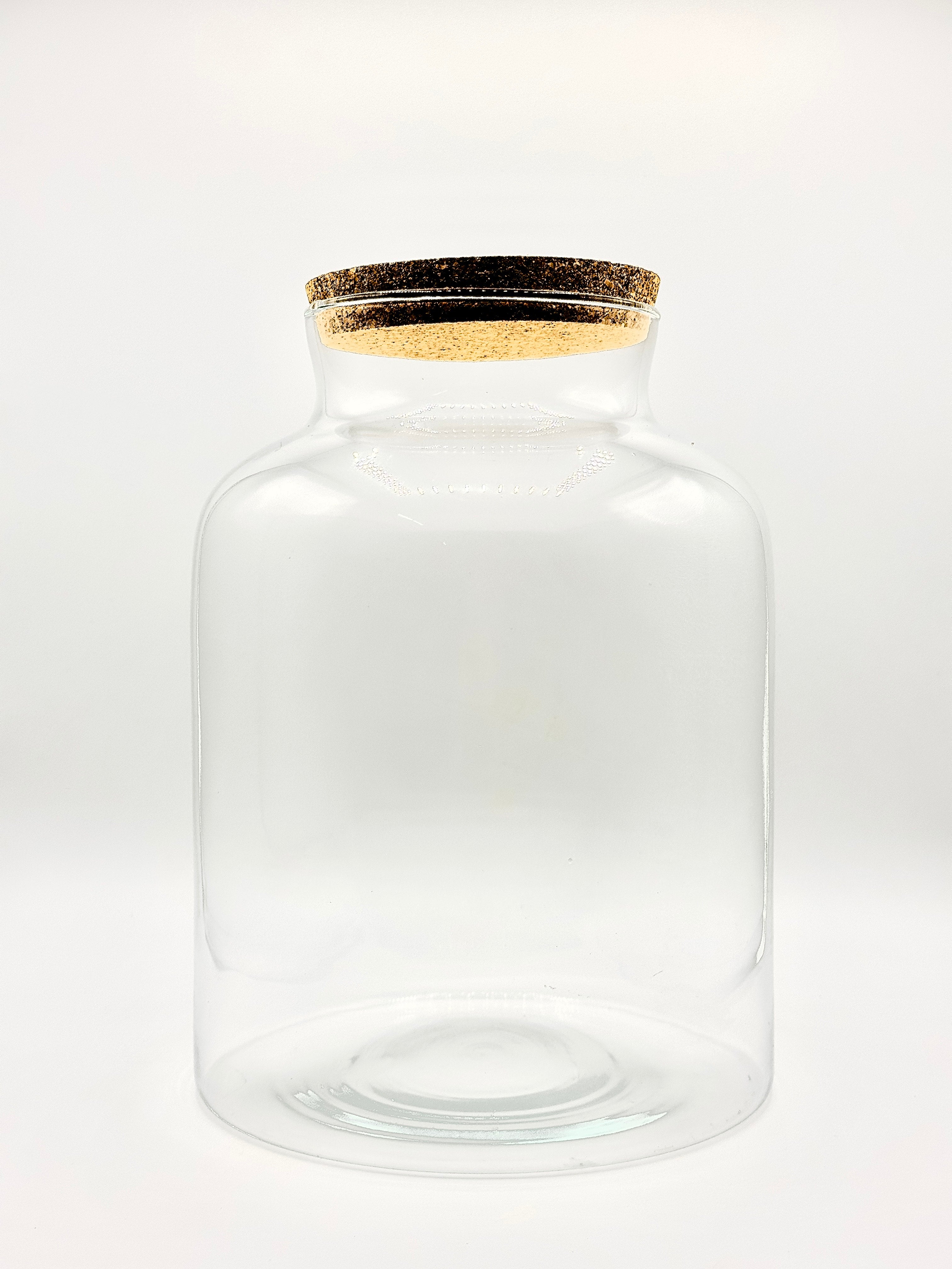 Vaso in Vetro Mars per Terrarium