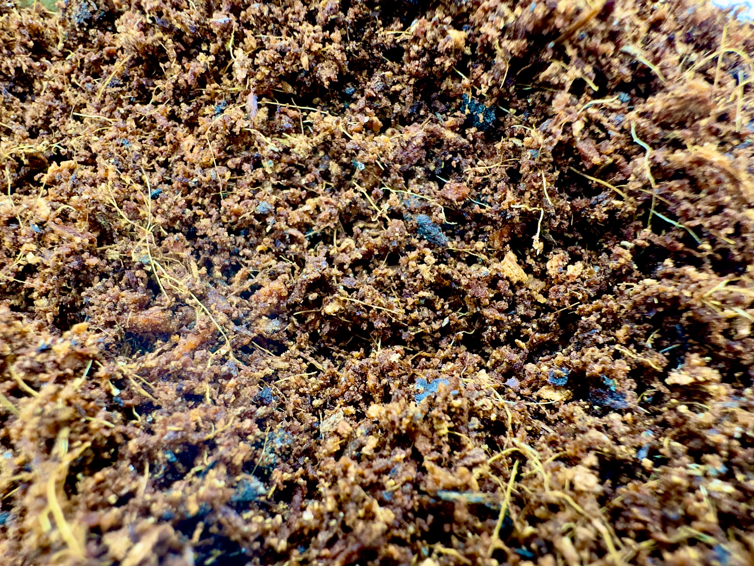 Terriccio di Cocco Naturale 1,5L - Substrato Professionale per Piante e Terrarium