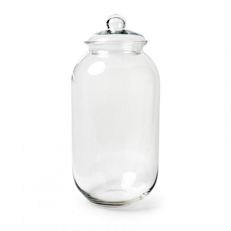 Vaso in Vetro Dome Medium - Campana Professionale per Terrarium 32x24,5cm