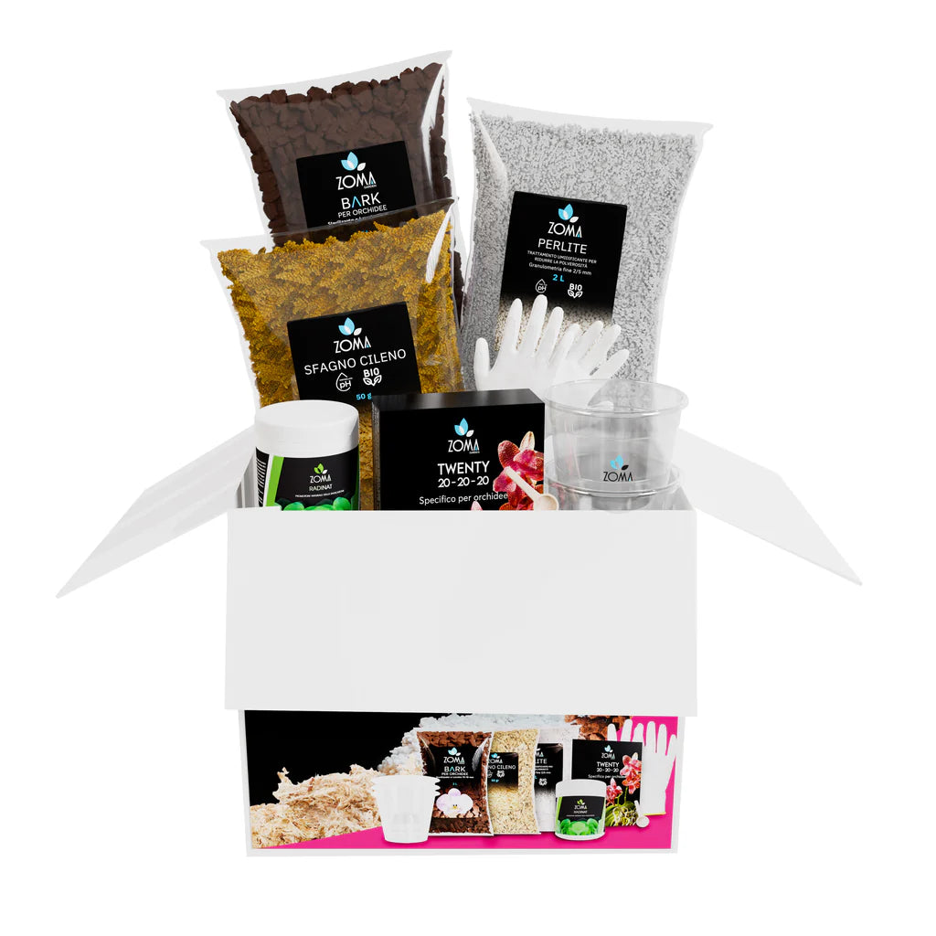 Kit professionale per il rinvaso delle orchidee di Dreaming Plants con bark, sfagno cileno, perlite, vasi trasparenti, concime e radicante.