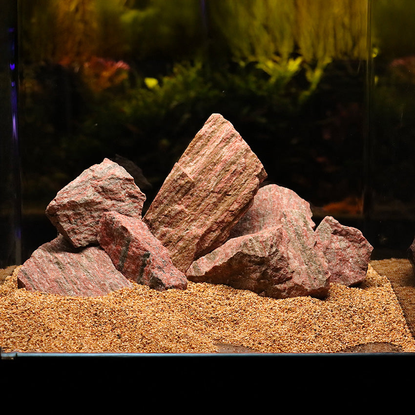 Roccia in legno fossile naturale con sfumature calde e venature uniche per allestimenti di acquari e terrari bioattivi.