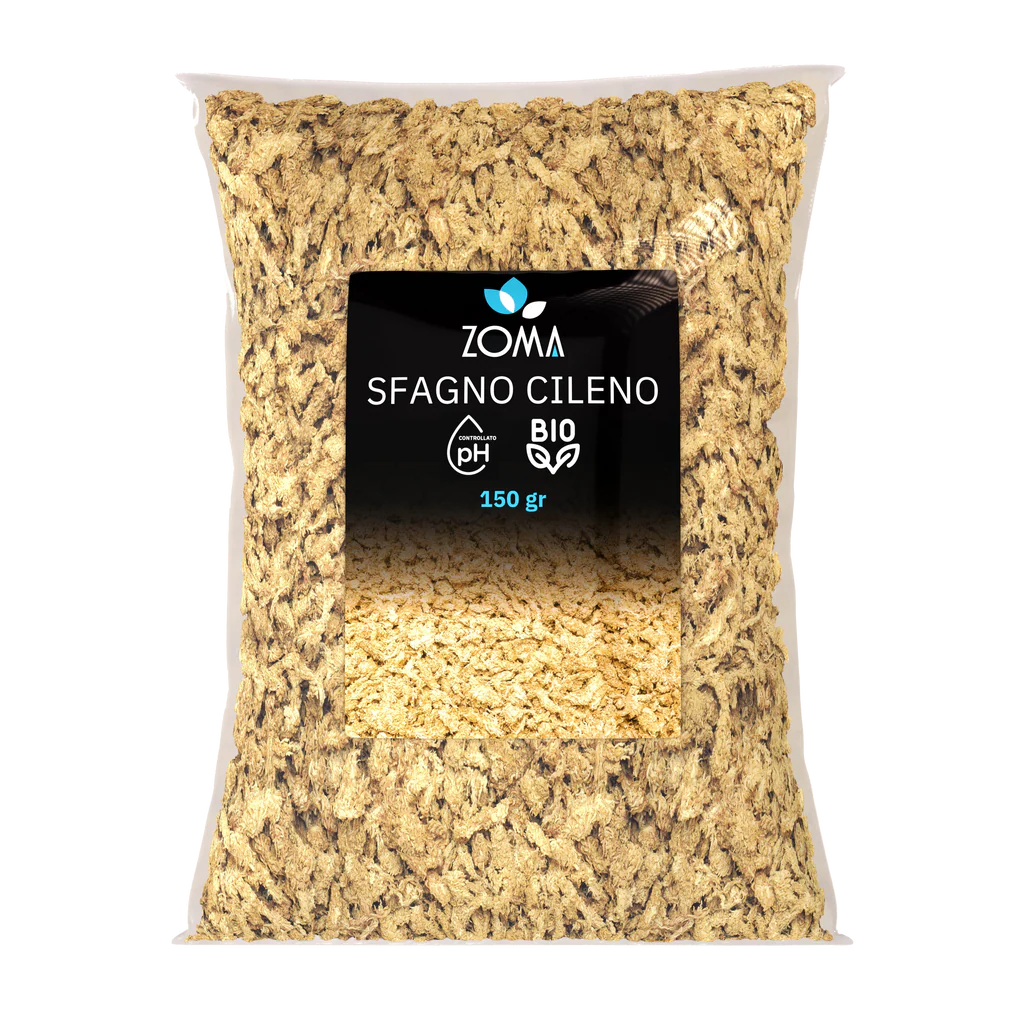 Sfagno Cileno Qualità Premium - Muschio a Fibra Lunga (50g - 150g) 🌿