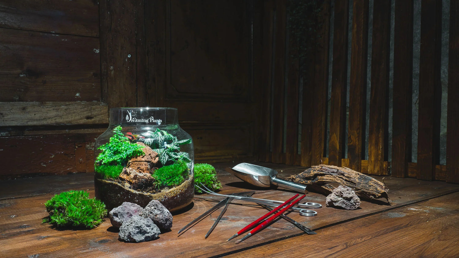 Accessori e cura del Terrarium