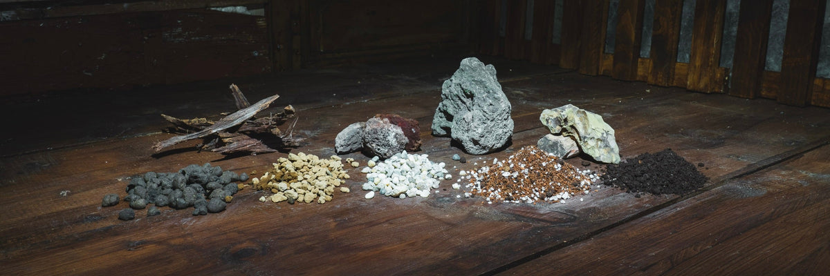 Selezione di Legni e radici per la creazione di paesaggi in miniatura nei terrarium e per decorare vasi di piante tropicali da interno su Dreaming Plants.