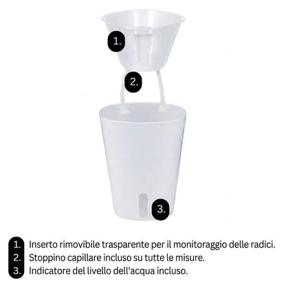 Vaso Auto-irrigante con Inserto Trasparente Rimovibile 💧🌱