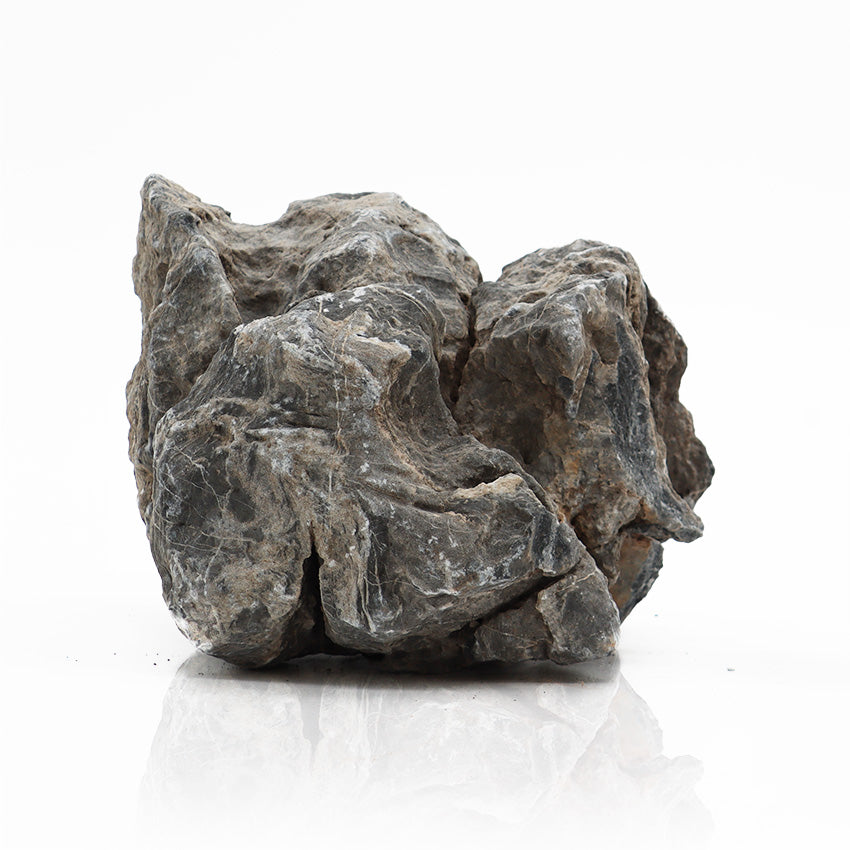 Roccia Dragon Stone (Ohko Stone) - Pietra Naturale Grigia Fessurata per Terrarium e Aquascaping