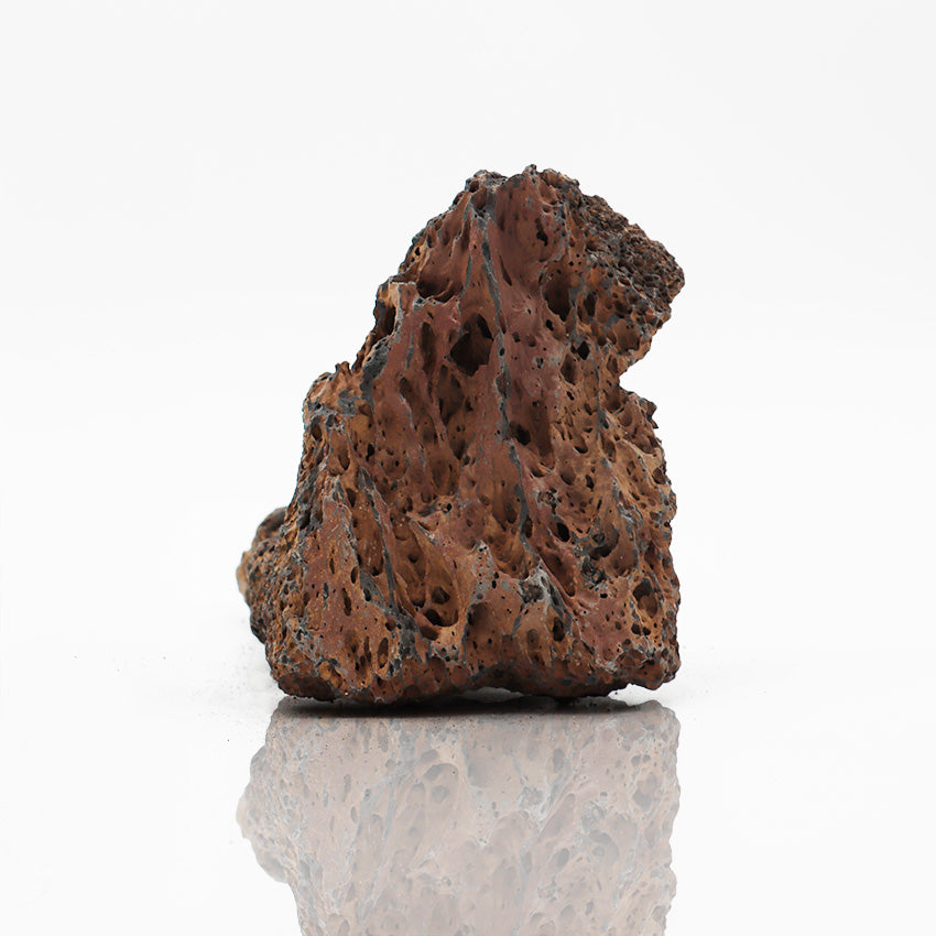 Roccia Naturale Vulcanica per Terrari e Paludari  🌋🌿✨