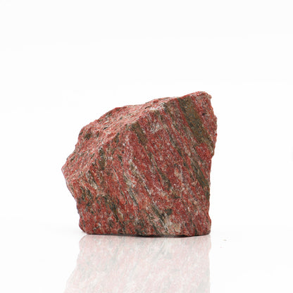 Roccia Legno Fossile 10-20cm - Pietra Naturale per Aquascaping e Terrarium