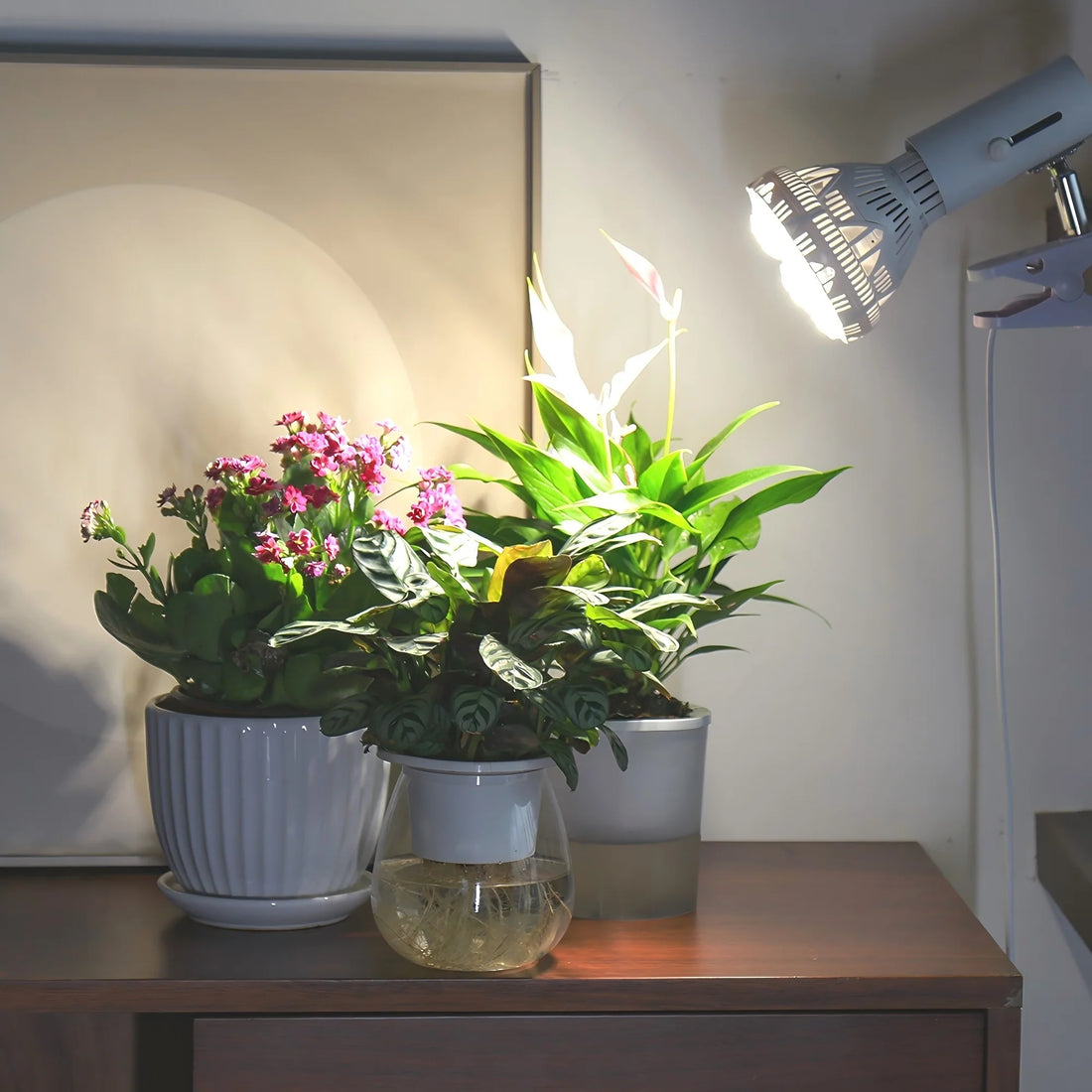 Lampadina LED per Coltivazione SANSI BR30 (36W - Spettro Completo 4000K) 💡🌱✨