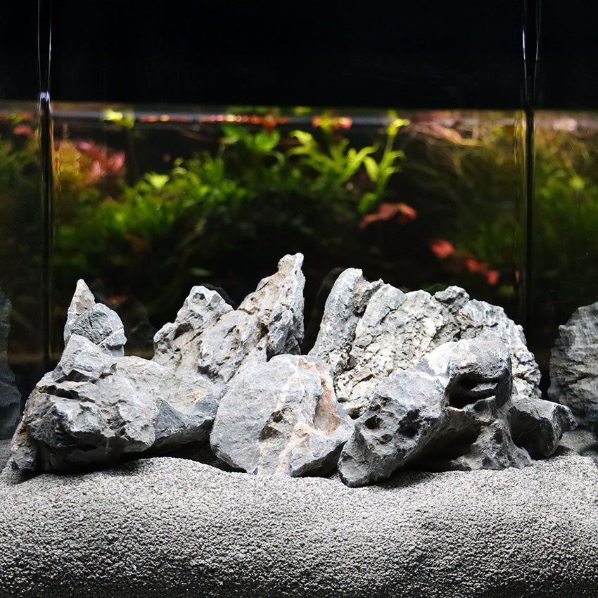 Roccia Dragon Stone (Ohko Stone) - Pietra Naturale Grigia Fessurata per Terrarium e Aquascaping