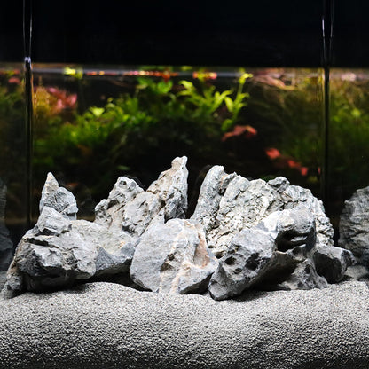 Roccia Dragon Stone (Ohko Stone) - Pietra Naturale Grigia Fessurata per Terrarium e Aquascaping
