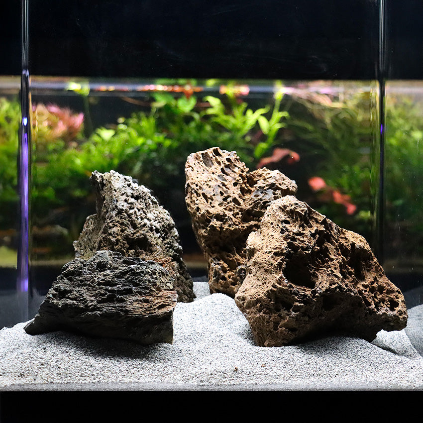 Roccia Naturale Vulcanica per Terrari e Paludari  🌋🌿✨