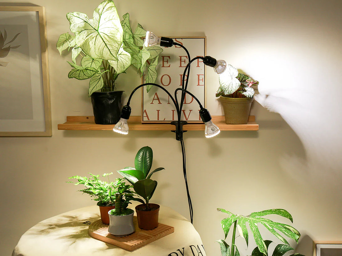 Lampada LED da Coltivazione a 4 Teste Flessibili con Clip e Timer SANSI (40W - Spettro Completo) 💡🪴✨