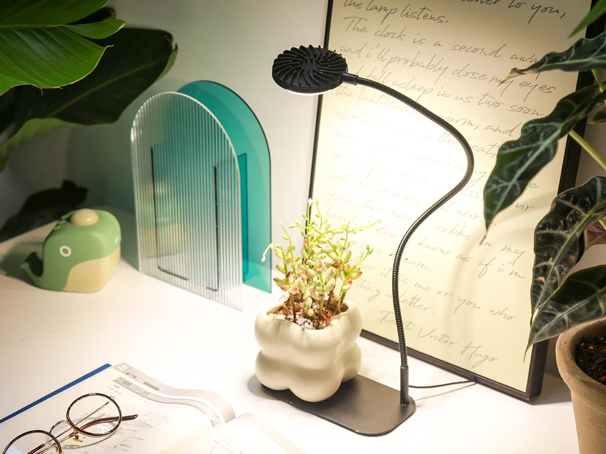 Lampada LED da Coltivazione da Tavolo con Base e Timer SANSI (12W - Spettro Completo per Piante e Terrarium) 💡🌱✨