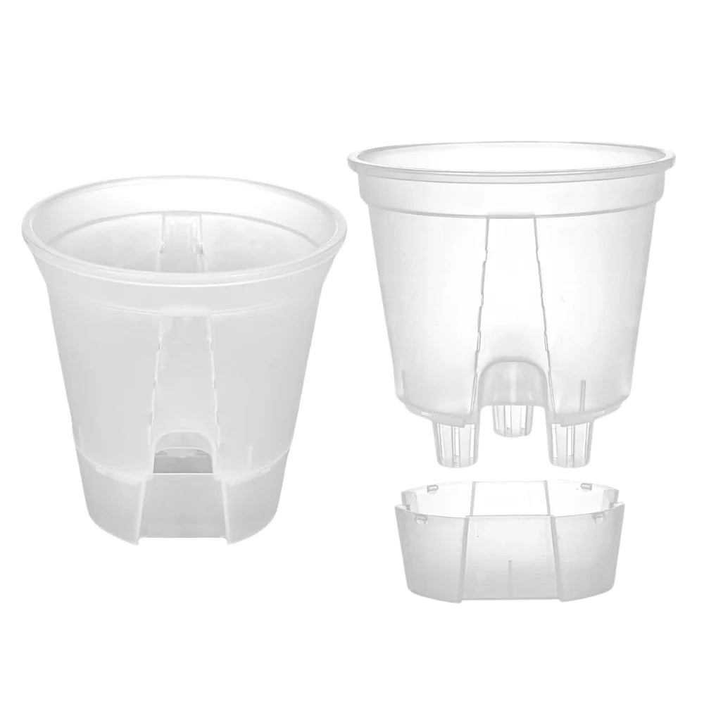 Vaso Autoirrigante Trasparente Universale per Piante da Interno e Aroidi (Ø 15 cm) 💧🌱