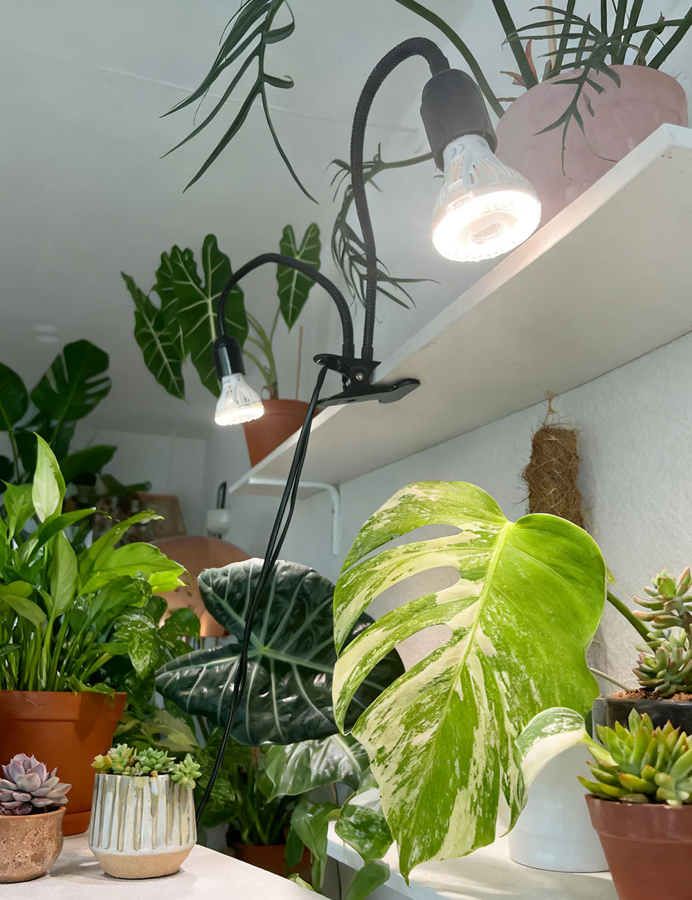 Lampada LED da Coltivazione a 2 Teste Flessibili con Clip e Timer SANSI (20W - Spettro Completo) 💡🪴✨