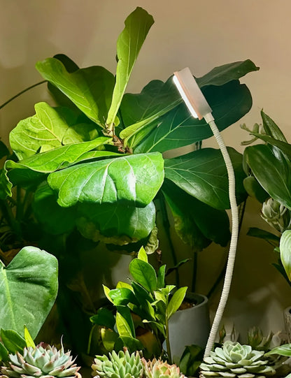Lampada LED da Coltivazione con Clip da Vaso e Timer SANSI (10W - Spettro Completo per Piante e Terrarium) 💡🌱✨