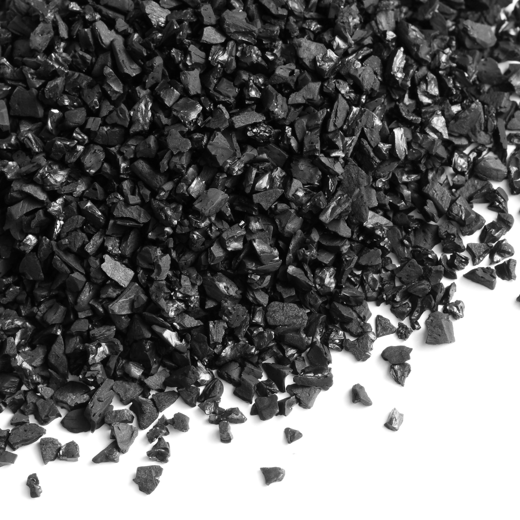 Carbone Attivo Professionale per Terrarium e Piante Tropicali | Purificatore e Anti-Muffa