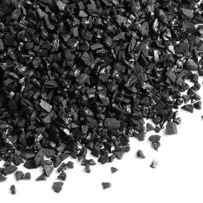 Carbone Attivo Professionale per Terrarium e Piante Tropicali | Purificatore e Anti-Muffa