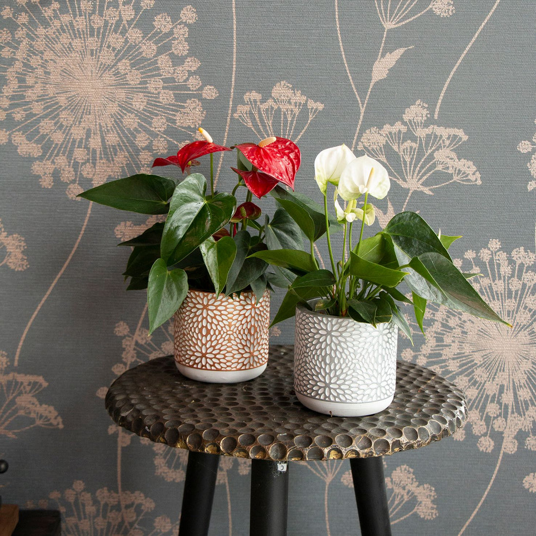 Coprivaso di Design in Ceramica Materica con Motivo Floreale a Mosaico (Ø 10 cm) 🎨🌿✨