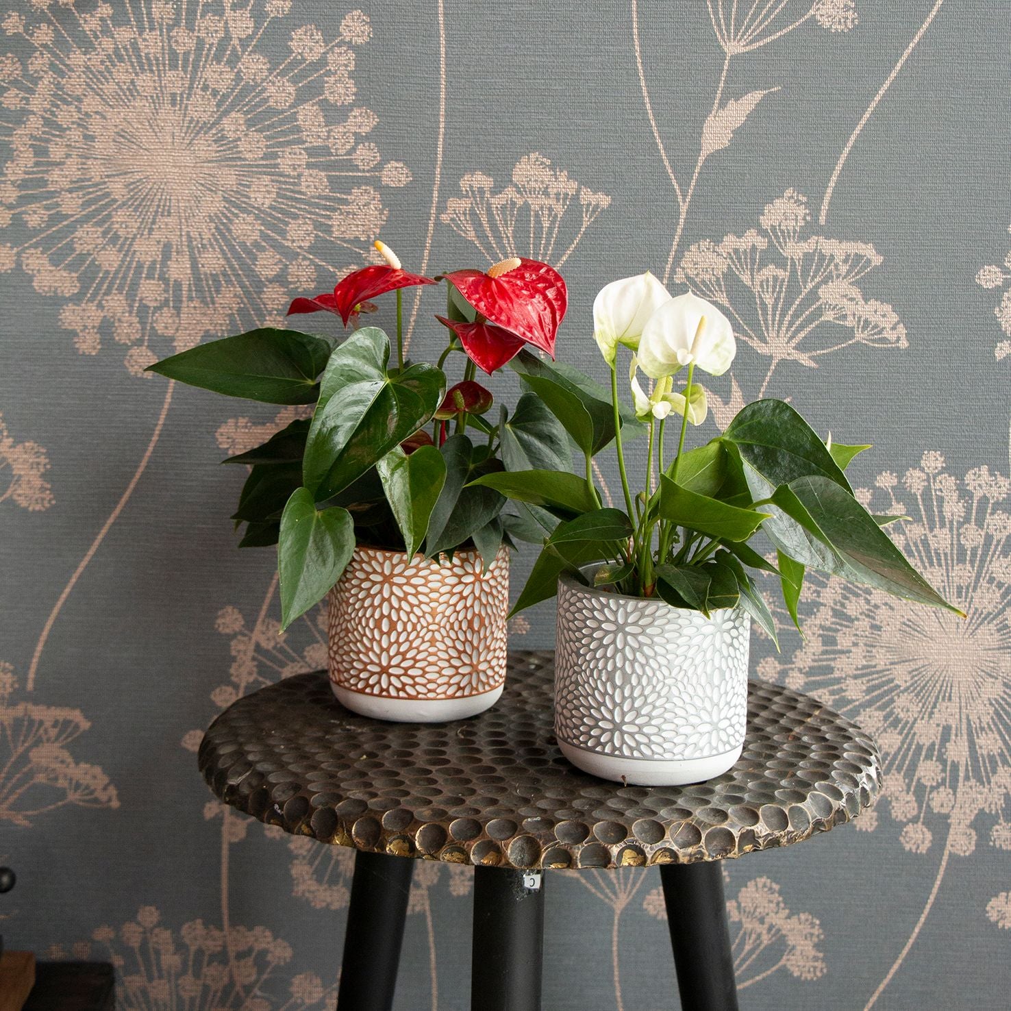 Coprivaso di Design in Ceramica Materica con Motivo Floreale a Mosaico (Ø 10 cm) 🎨🌿✨