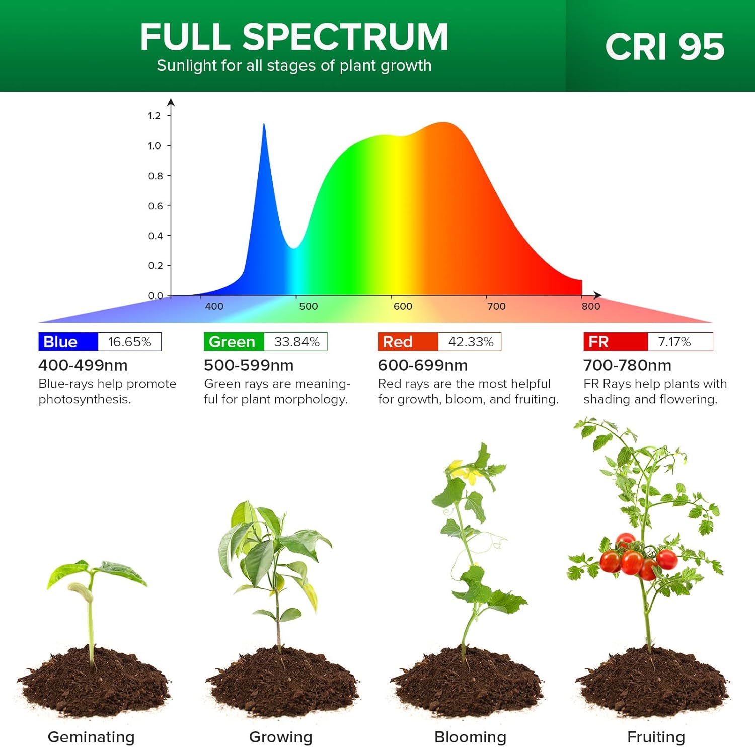 Lampada LED da Coltivazione con Clip da Vaso e Timer SANSI (10W - Spettro Completo per Piante e Terrarium) 💡🌱✨