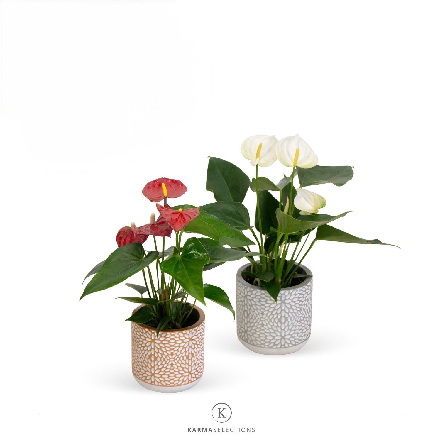 Coprivaso di Design in Ceramica Materica con Motivo Floreale a Mosaico (Ø 10 cm) 🎨🌿✨