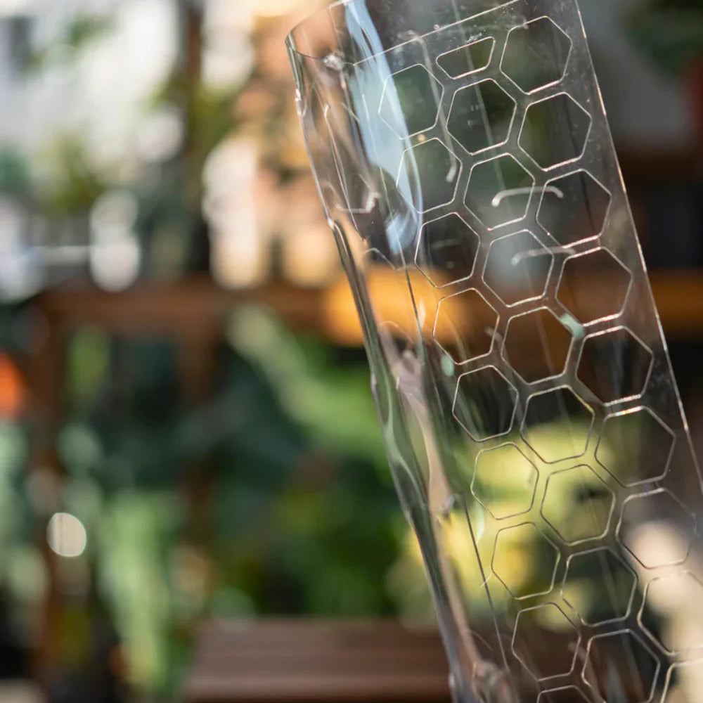 Tutore in Sfagno per Piante [Classic] - Forma a D PlantScraper (S - M - L - XL) 🌿