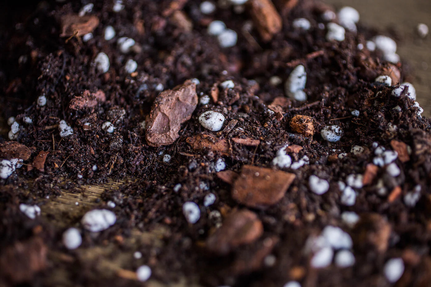 Premium Aroid Mix Essential PlantScraper - Terriccio per Aroidi (8.5LT) 🌿