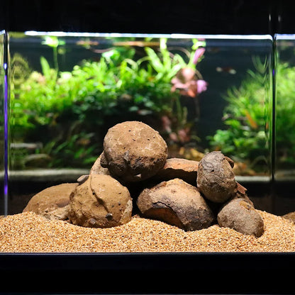 Roccia Naturale &