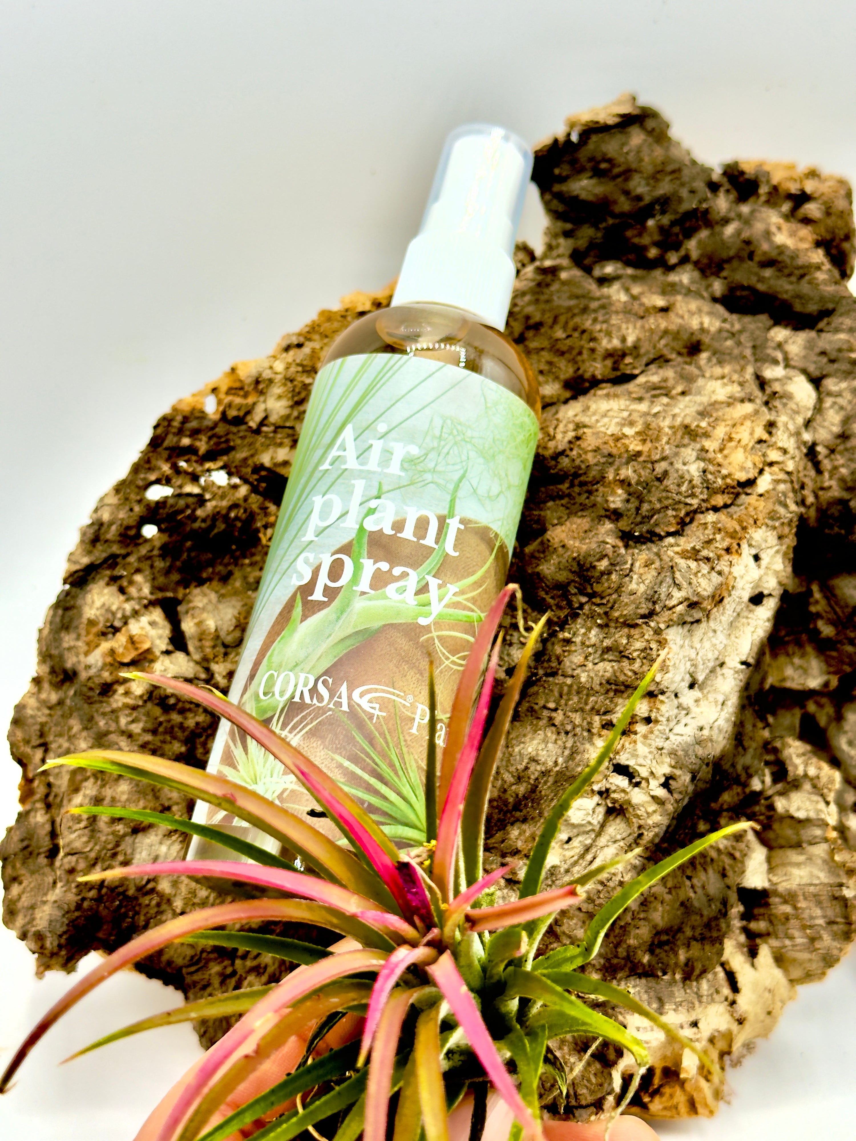 Spray Fertilizzante per Tillandsie 150ml - Nutrimento Spray per Air Plants