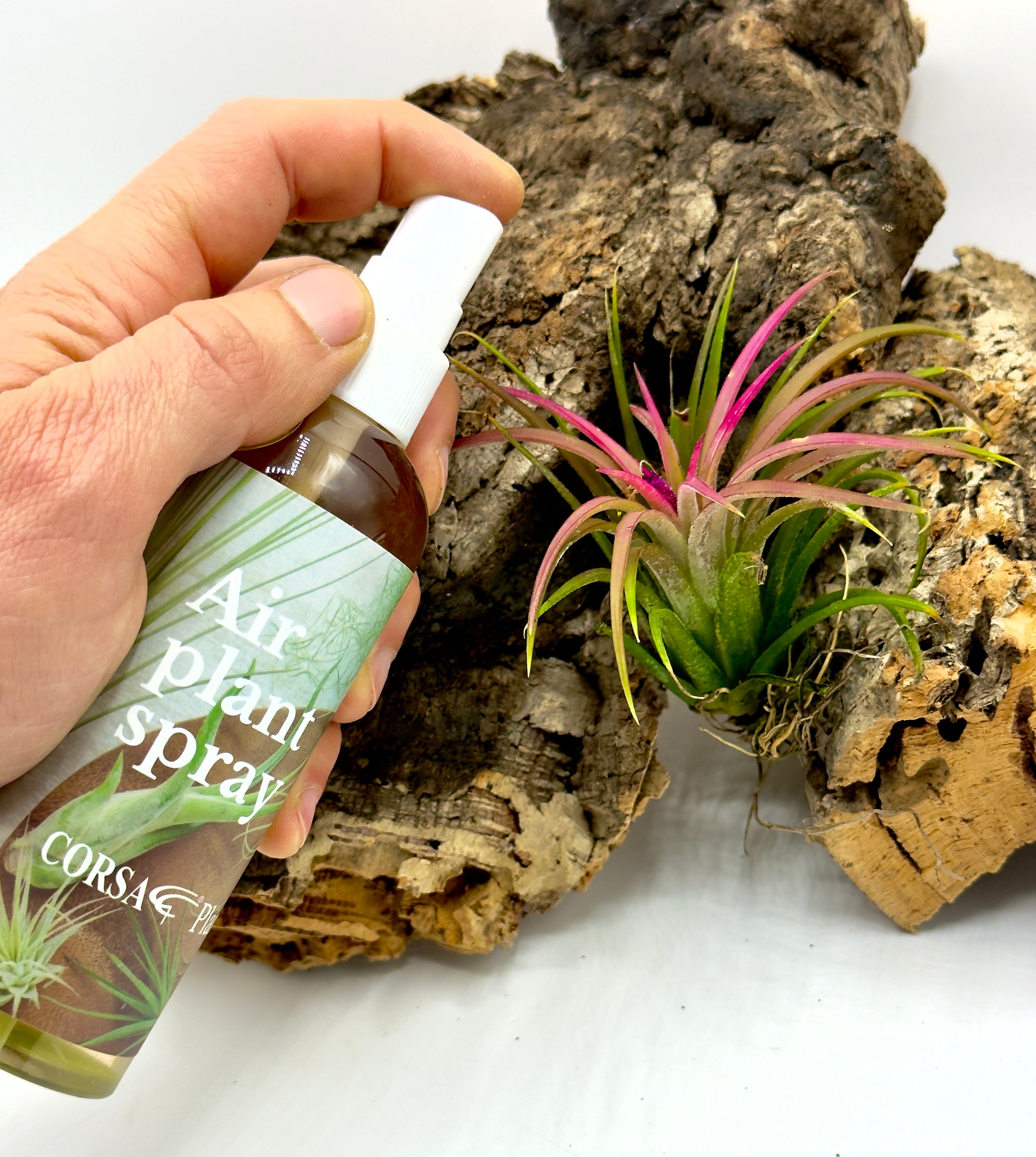 Spray Fertilizzante per Tillandsie 150ml - Nutrimento Spray per Air Plants