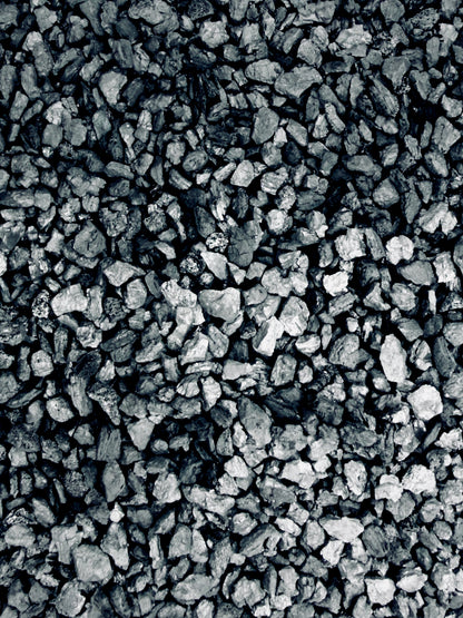 Carbone Attivo Professionale per Terrarium e Piante Tropicali | Purificatore e Anti-Muffa