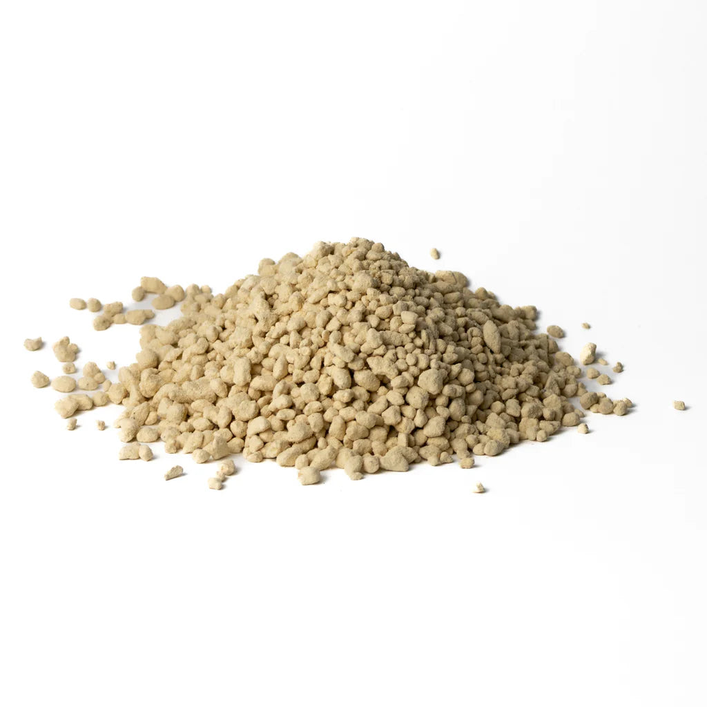 Kanuma Giapponese Hard Quality - Inerte Naturale per Acidofile (2LT) 💛✨