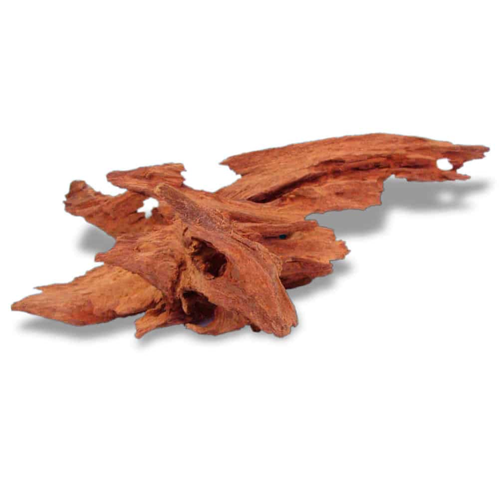 Legno Jati naturale Dreaming Plants con forme nodose e compatte, perfetto per creare scenari tropicali e strutture solide in terrarium e acquari.
