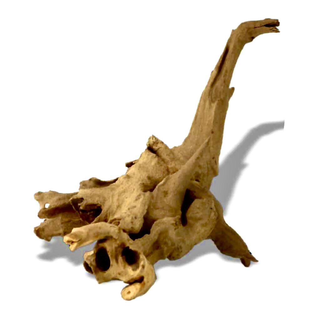 Legno naturale Guinea-Nano con forma nodosa e compatta, ideale per l&