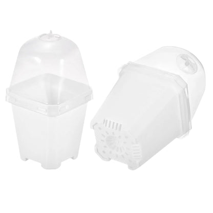 Mini Serra Vaso Trasparente con Cupola per Baby Plant e Talee 🌿🧪